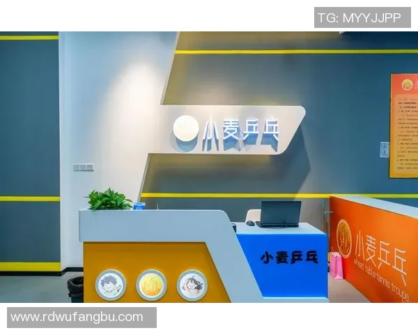 从零基础到高手之路乒乓球技术全方位提升指南