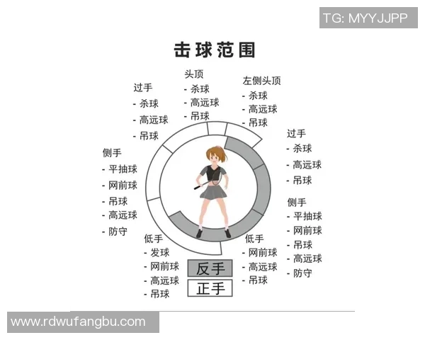 北京羽毛球队在冠军赛中的战术运用与表现分析 北京羽毛球队在冠军赛中的战术运用与表现分析