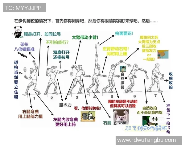 南京羽毛球队节奏对比深度解析与战术演变探讨