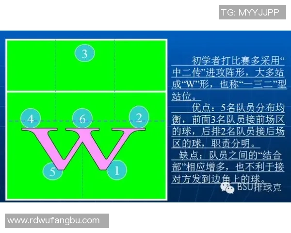 成都排球队的转换打法深度分析与战术创新探讨 成都排球队的转换打法深度分析与战术创新探讨