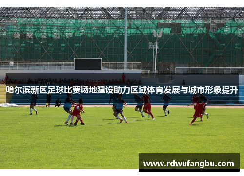 哈尔滨新区足球比赛场地建设助力区域体育发展与城市形象提升